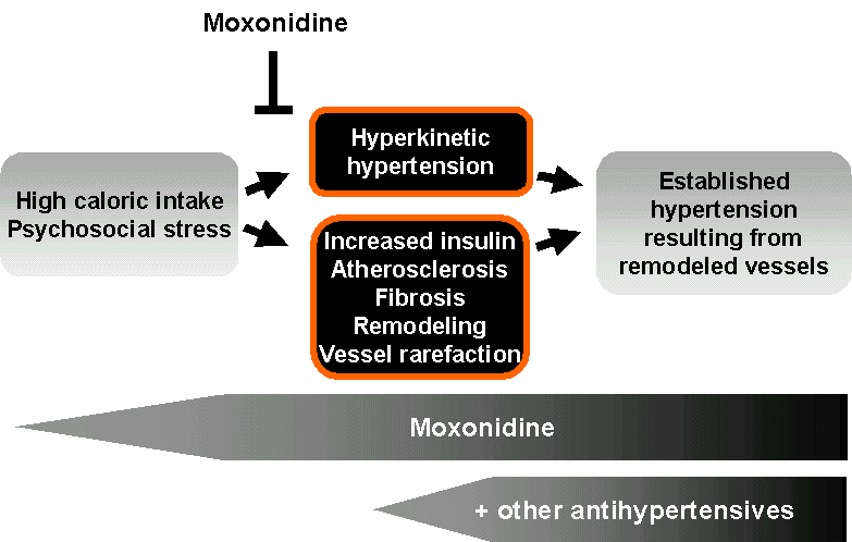 Treatment targets for hypertension