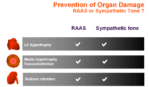 Adverse catecholamine vs. angiotensin II influences