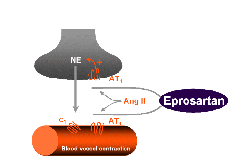 Eprosartan protects from adverse presynaptic and postsynamptic effects of angiotensin II